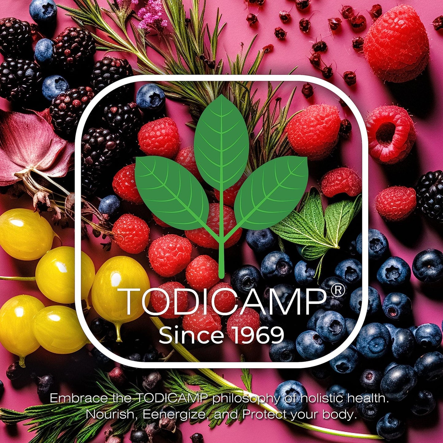 539732441